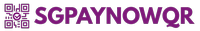 SGPayNowQR.com